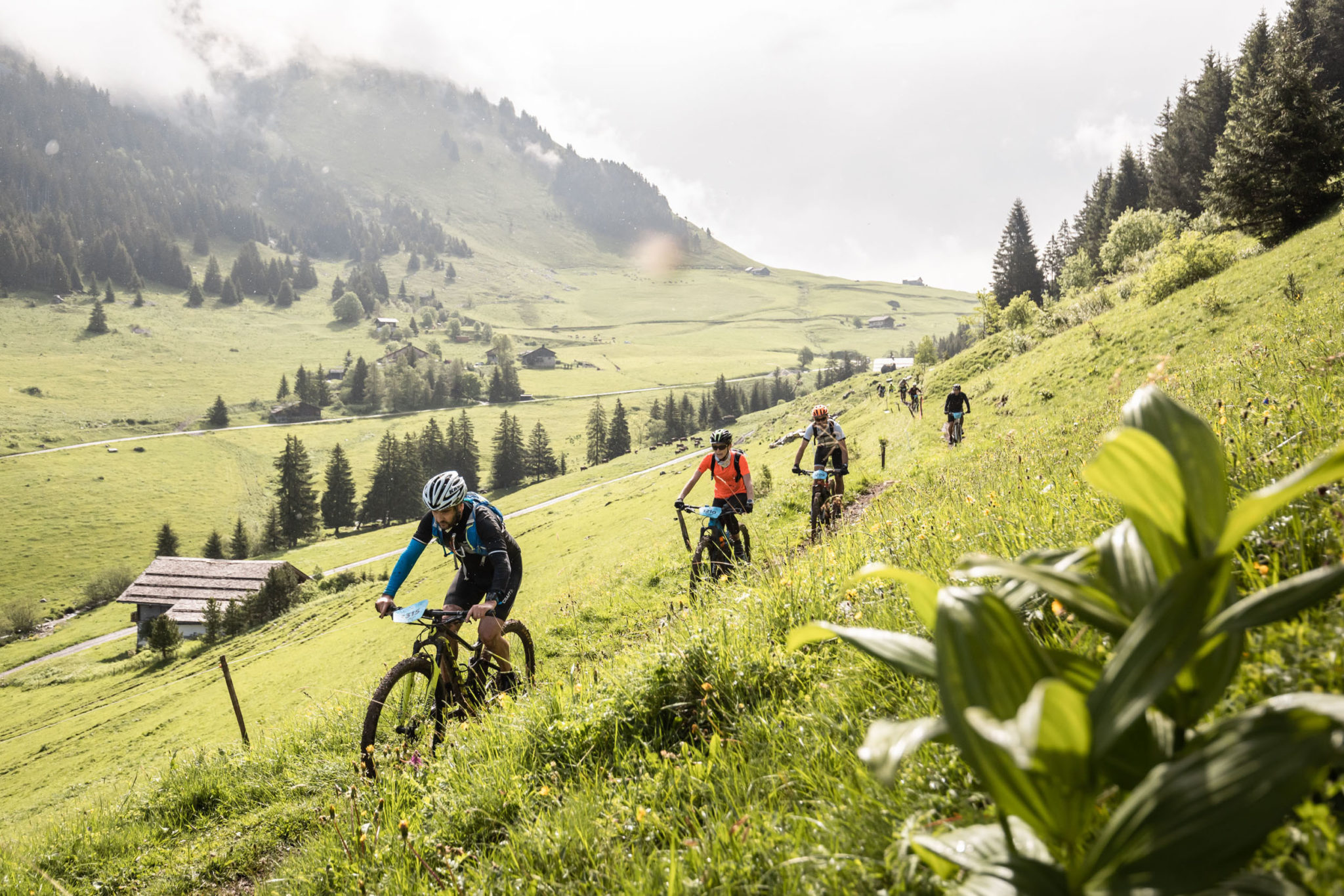 randonnée vtt électrique